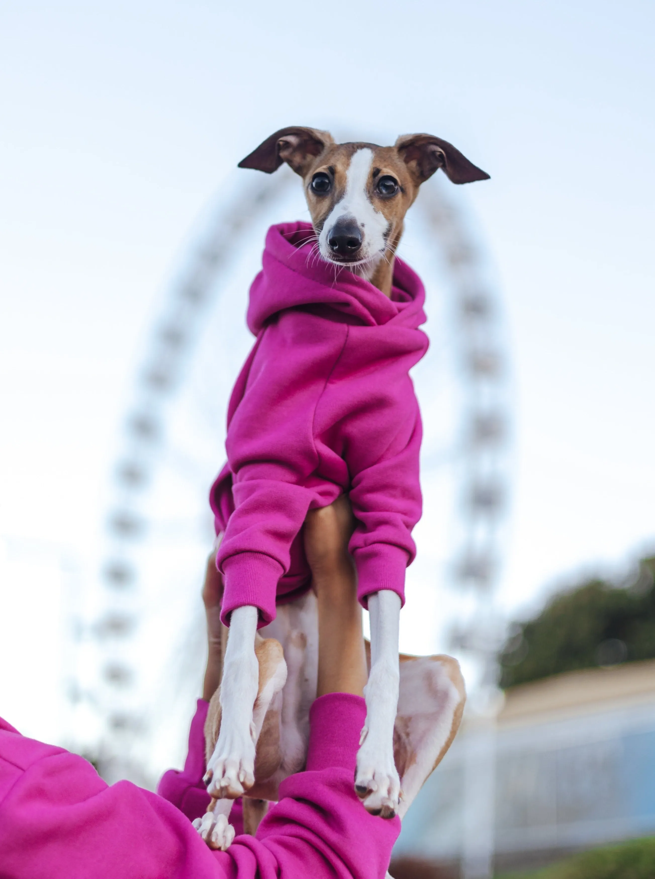 Dragonfruit Hoodie