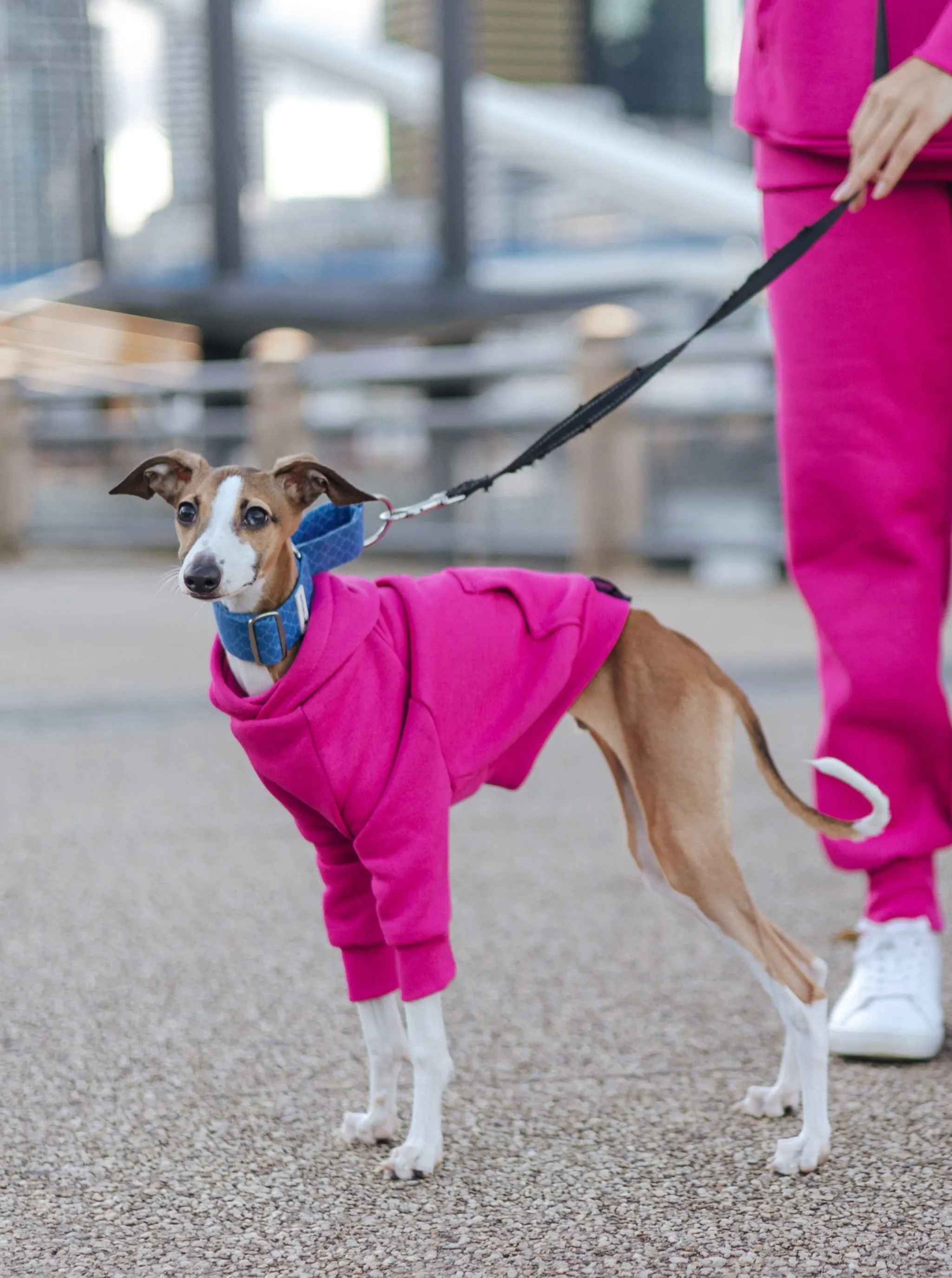 Dragonfruit Hoodie