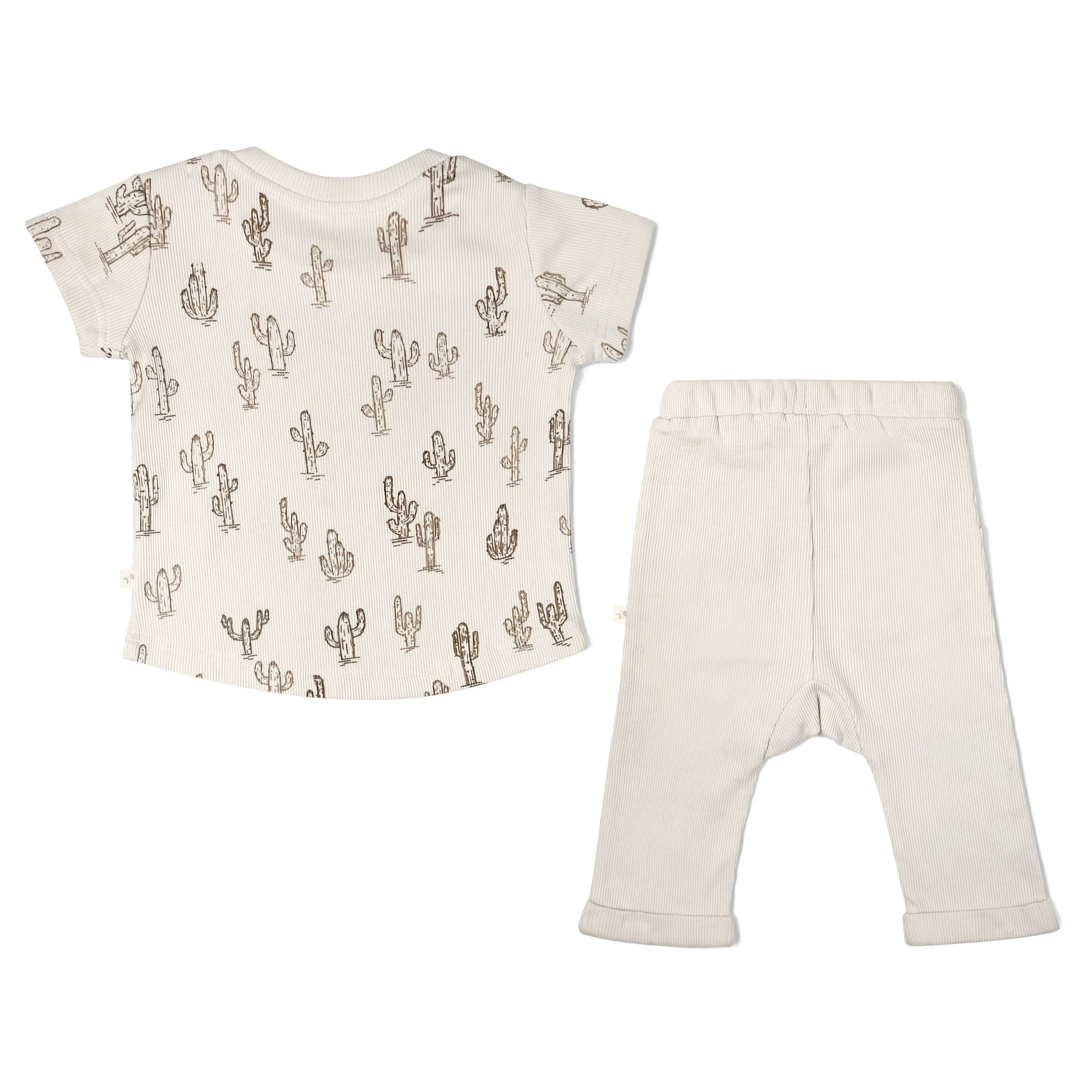 Organic Toddler T-shirt & Pant Set | Cactus